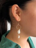 Two Pearl & Gold Link Earrings