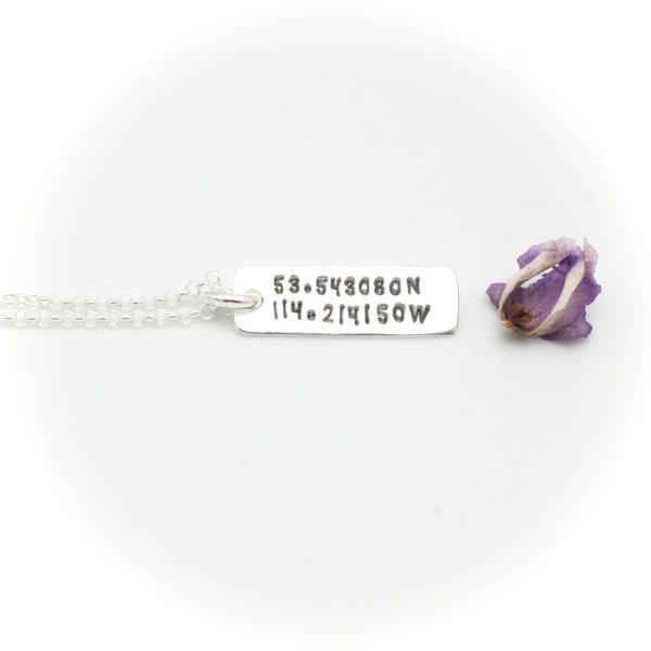 Coordinates Necklace