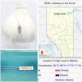 Coordinates Necklace